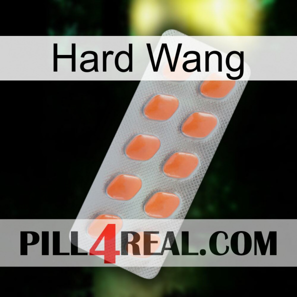 Hard Wang 26.jpg